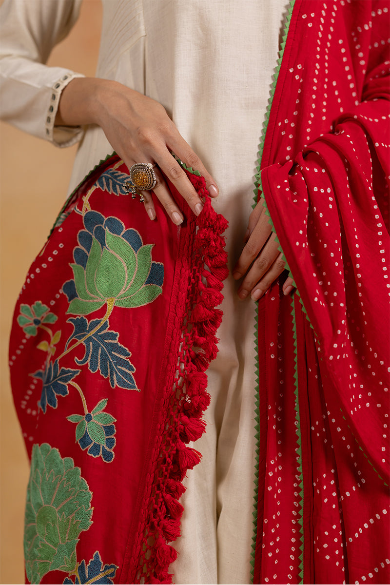 Abir -  Red Bandhani Aari Embroidered Dupatta