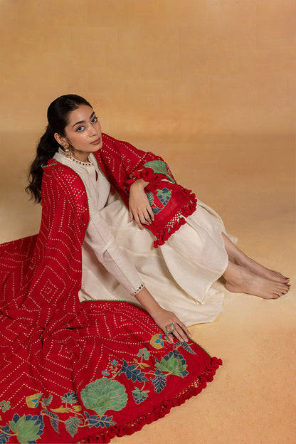 Abir -  Red Bandhani Aari Embroidered Dupatta